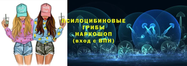 кокс Аркадак