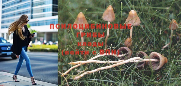 кокс Аркадак