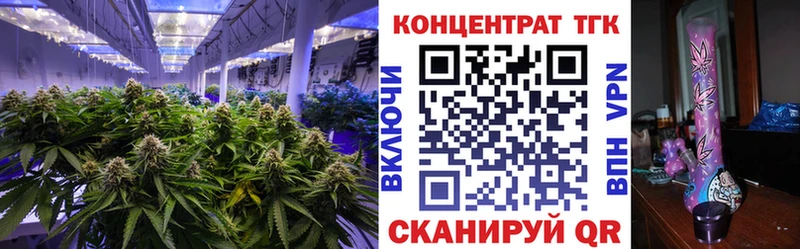 Купить закладки  Сурск  ТГК THC oil 